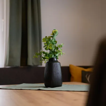 Pienz Apartment